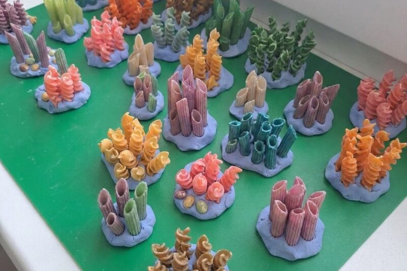 Marine Creatures DIY Kids 9 Best Beach Travel Craft Ideas