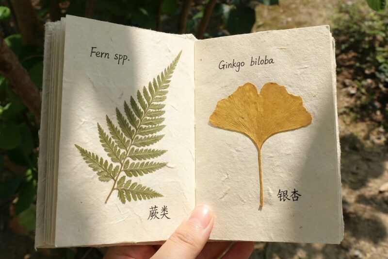 Collecting tree leaves and making a nature book: Why 5 Kids Love It