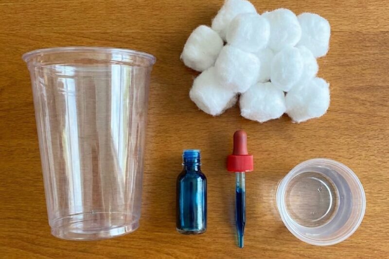 Regenerlebnis im Becher für Kinder: 10 beste STEM Ideen