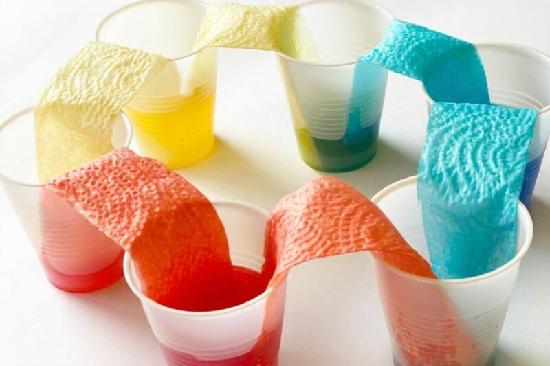 Color Transfer Between Cups Experiment: A Fascinating Walking Water Science Activity for Kids