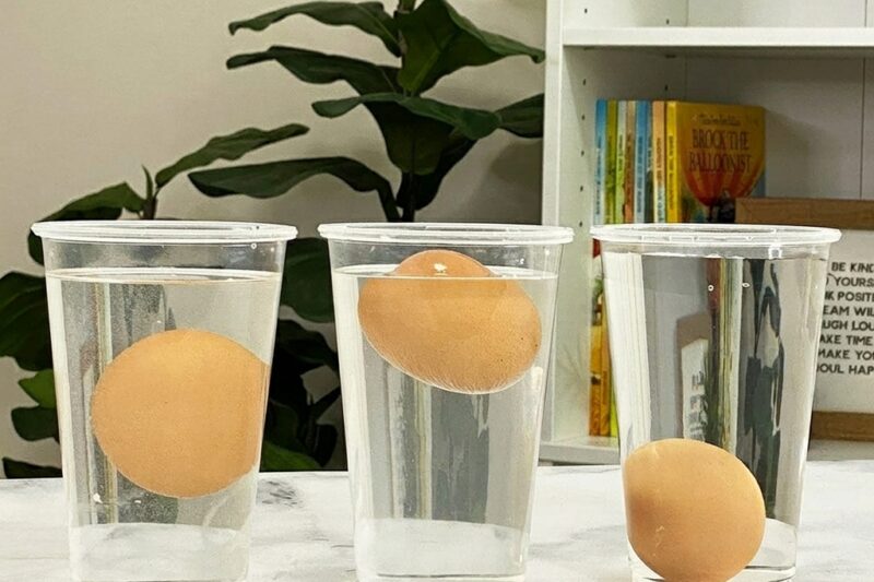 Egg Floating in Salt Water Experiment: A Fun and Educational Science Activity for Kids